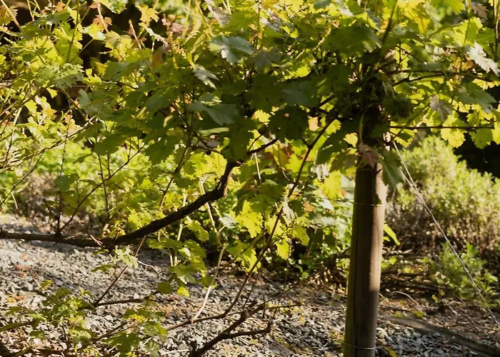 Ξενοδοχείο Du Gruenewald Λουξεμβούργο