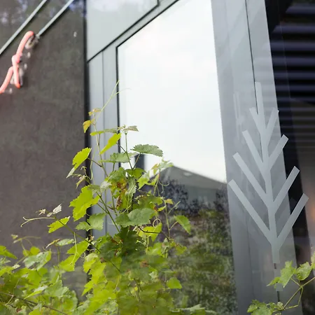 格鲁瓦尔德酒店 酒店 4*