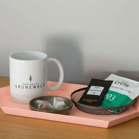 فندق Du Gruenewald
